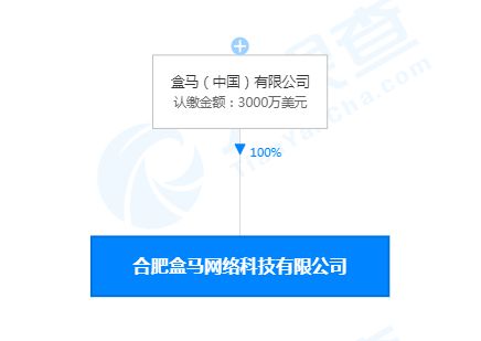 合肥盒馬網絡科技公司成立，注冊資本3000萬美元聚焦網絡信息技術